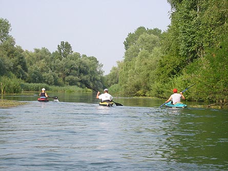 Sile oberhalb von Treviso